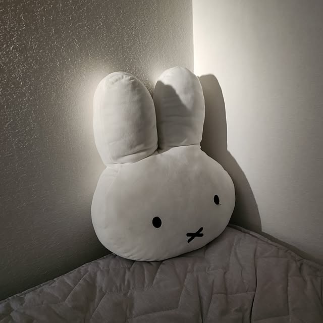 SAKさんの実例写真
