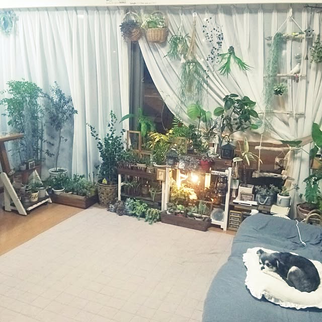 satominさんの実例写真