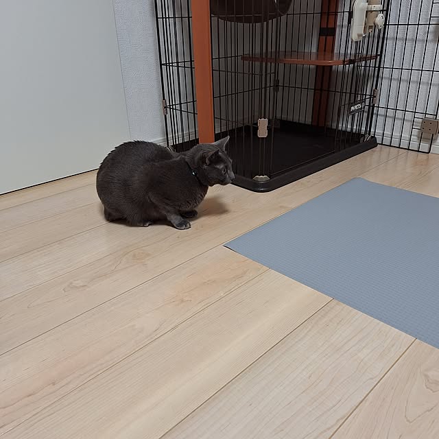 asahinaさんの実例写真