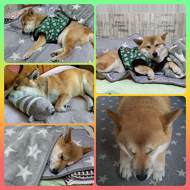 nanaさんの実例写真