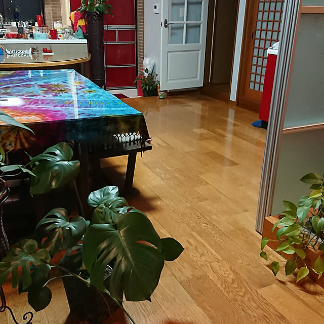 実例写真