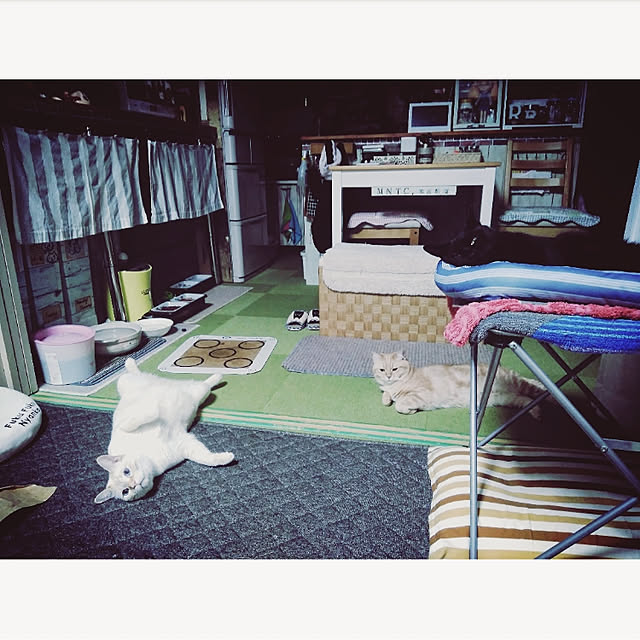 mntcさんの実例写真