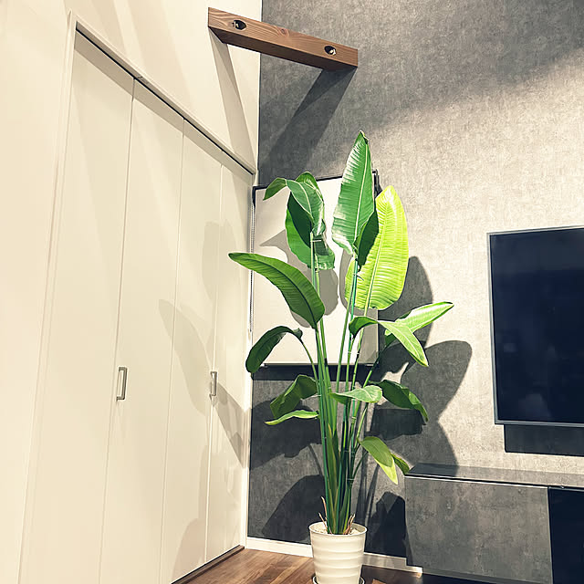 mysnhr10さんの実例写真