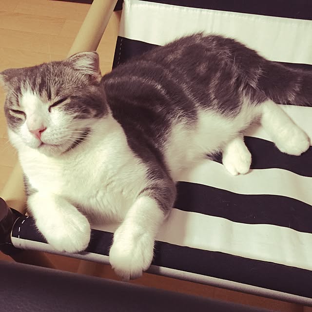 tansukeさんの実例写真