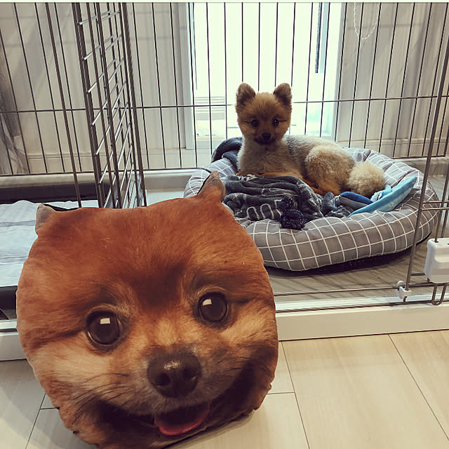 naaさんの実例写真