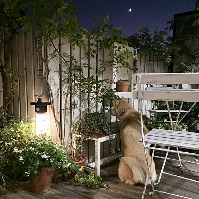 leonaさんの実例写真