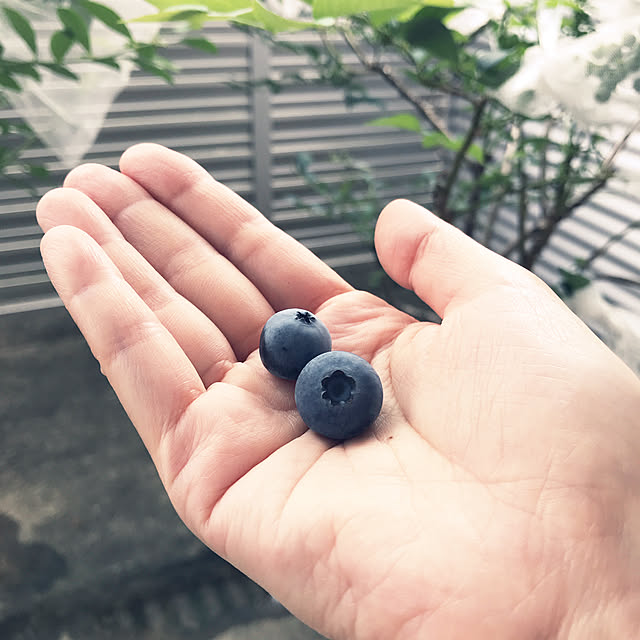 sakabe_shinさんの実例写真
