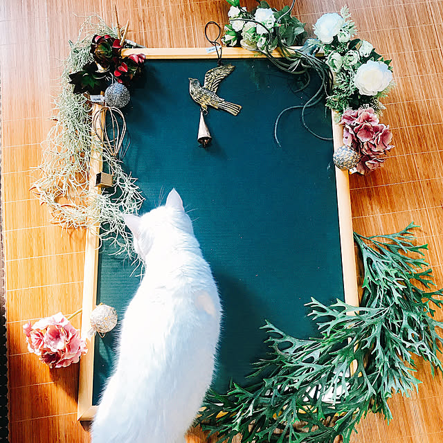 nyanko-beamさんの実例写真