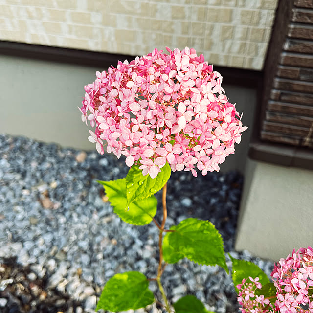 acham4111119さんの部屋