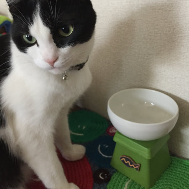 nisannisan39さんの実例写真