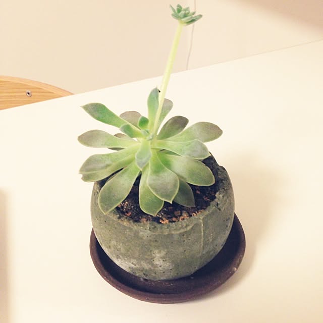 kさんの実例写真