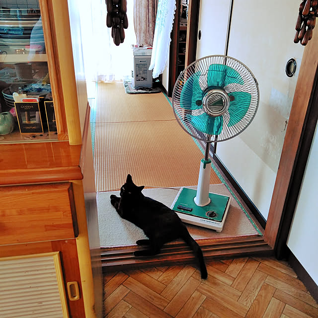 hiroさんの実例写真