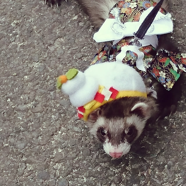 touyamamaさんの実例写真