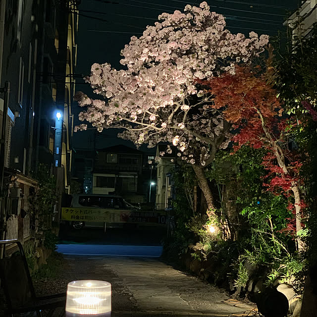naoさんの実例写真