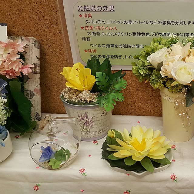 実例写真