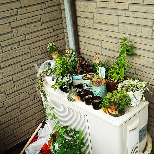 juncoさんの実例写真
