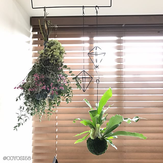 COYOSIさんの実例写真