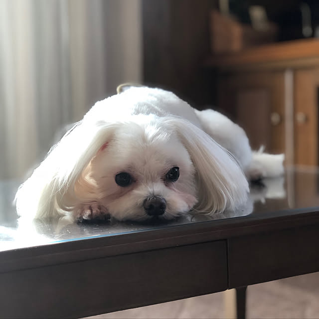 pino1227さんの実例写真