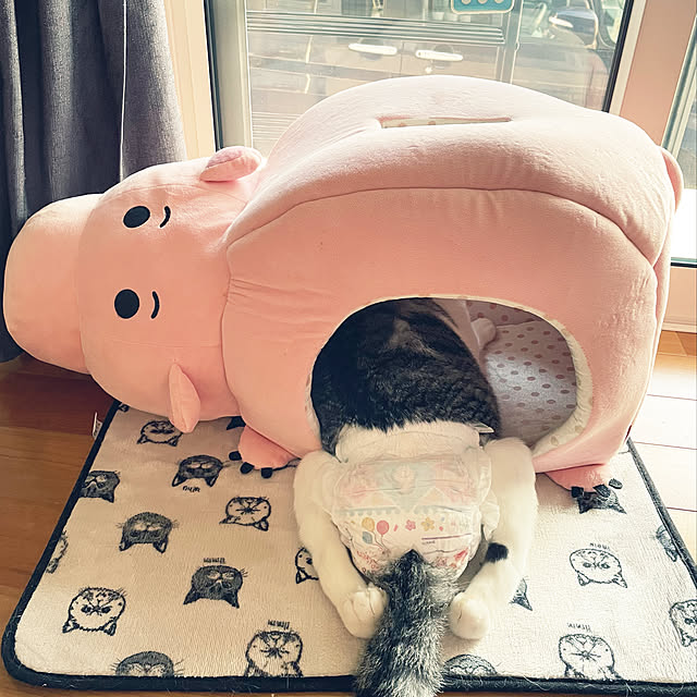 ALPSさんの実例写真