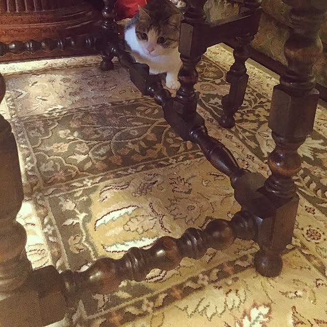 emmyyさんの実例写真