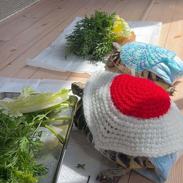 nee_roomさんの部屋