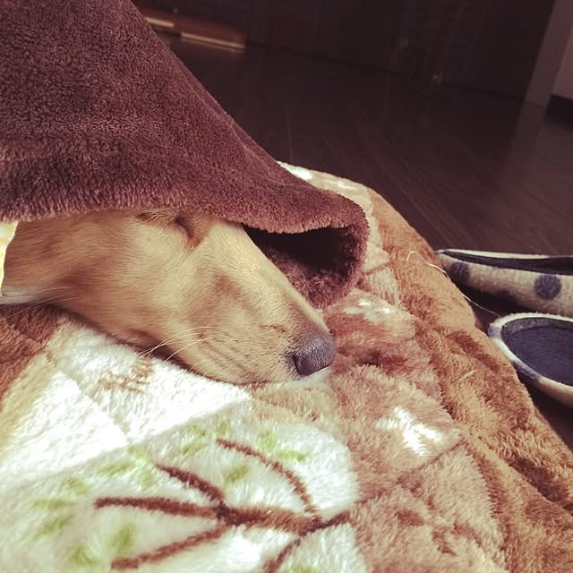 -Riley-mama.-さんの実例写真