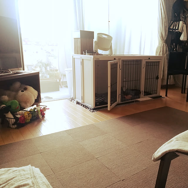 junjunさんの実例写真