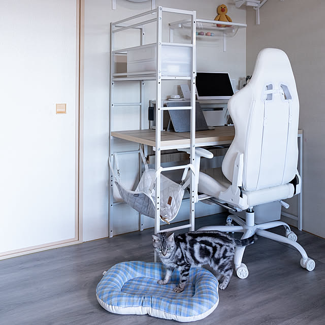 Yuki_with_a_tailさんの部屋