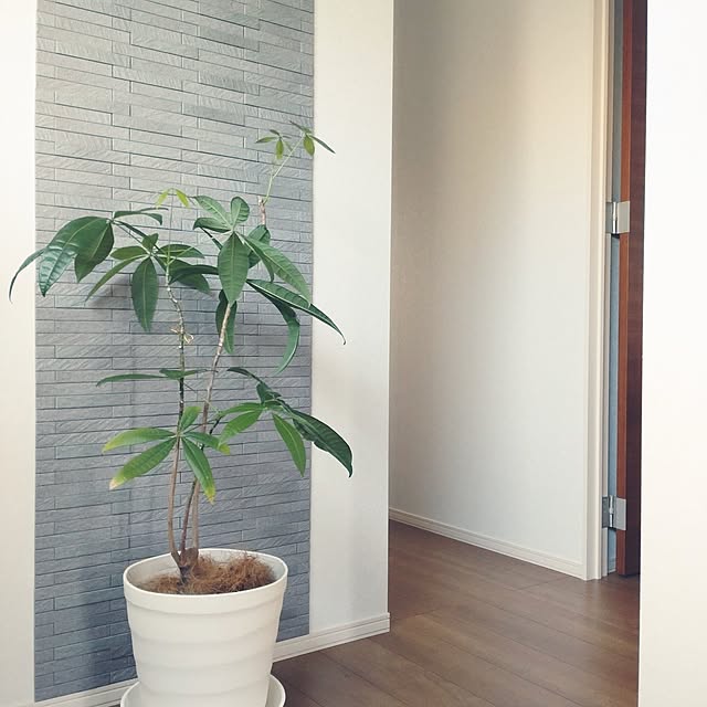 tan5さんの実例写真