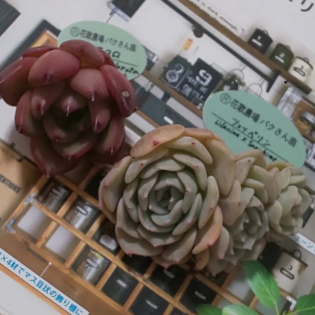 kazu3381さんの実例写真