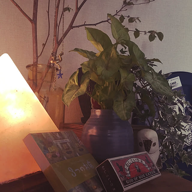 s.p.sunaoさんの実例写真