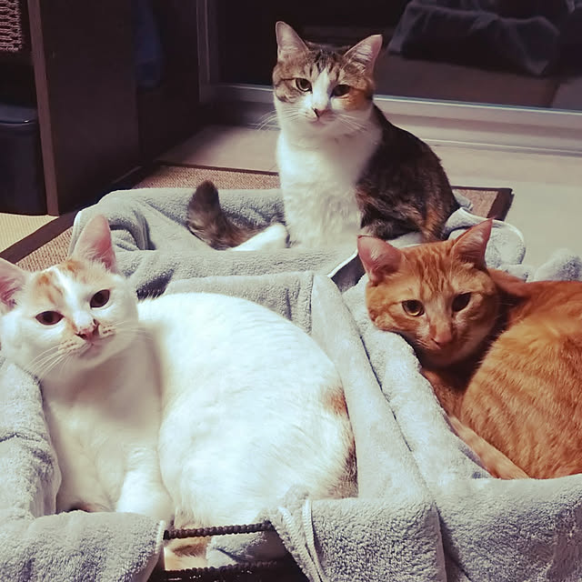 hiroさんの実例写真