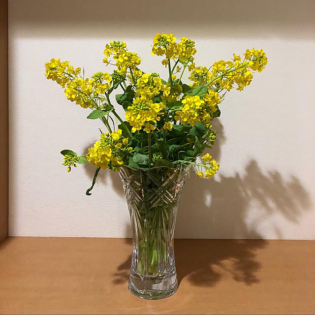 fumikoiさんの実例写真