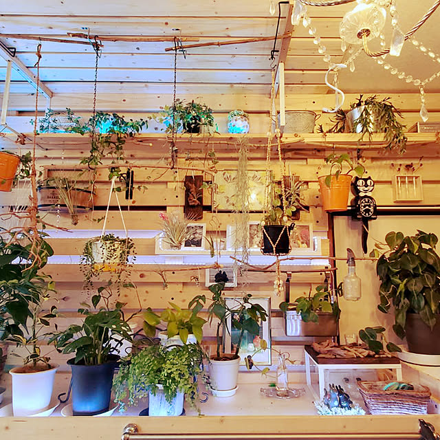 ハンドメイド/DIY/観葉植物/カフェ風/多肉植物...などのインテリア実例 - 2021-06-06 20:07:41