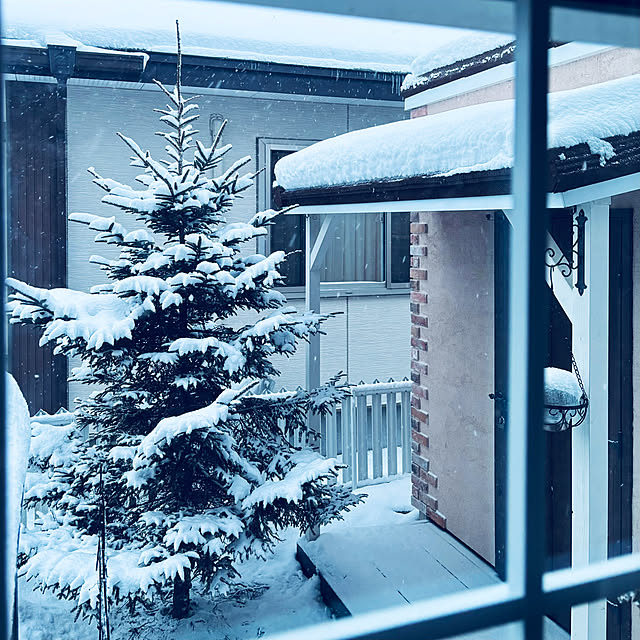 usagiさんの部屋