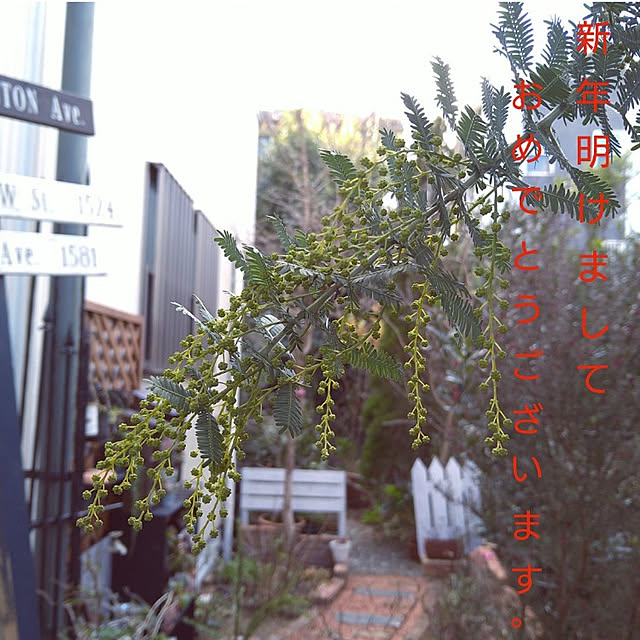 kohmarlさんの実例写真