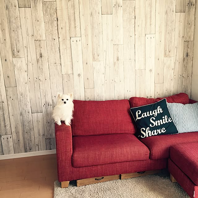 Erikaさんの実例写真
