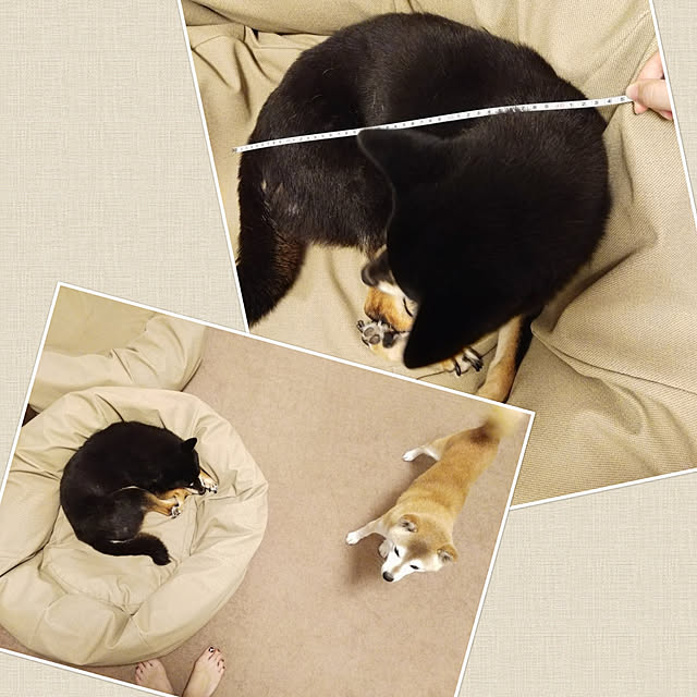 ponhanaさんの実例写真