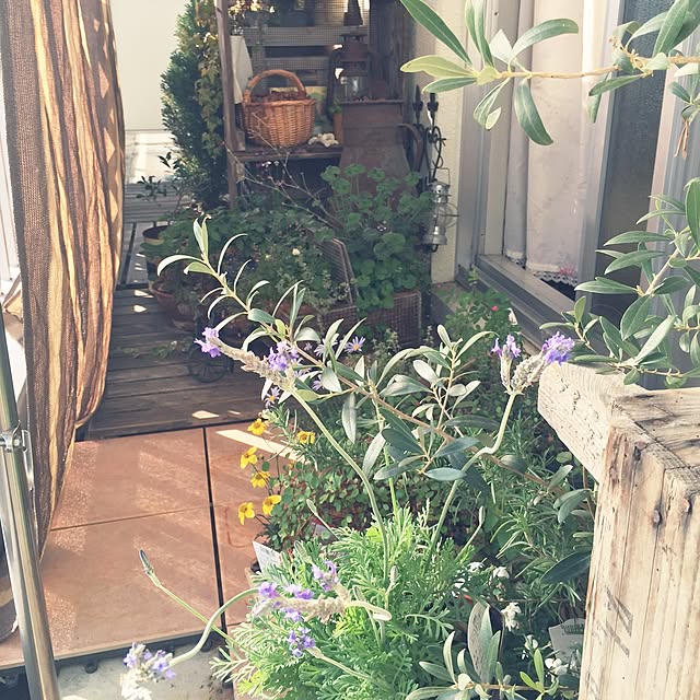 hirunesanさんの実例写真