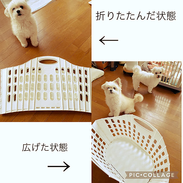 Kekoponさんの実例写真