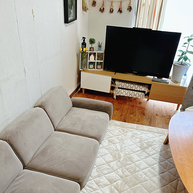 Chipさんの部屋