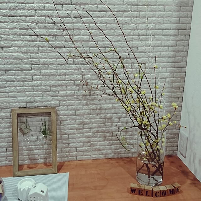 junaさんの実例写真