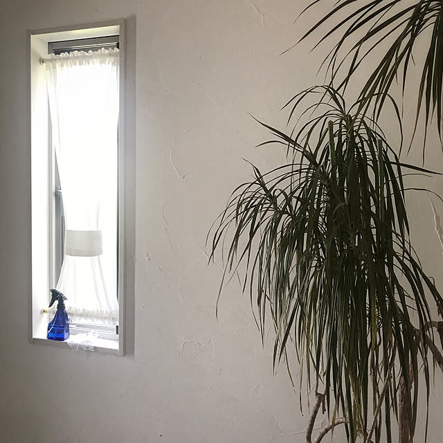 Tomococoroさんの実例写真