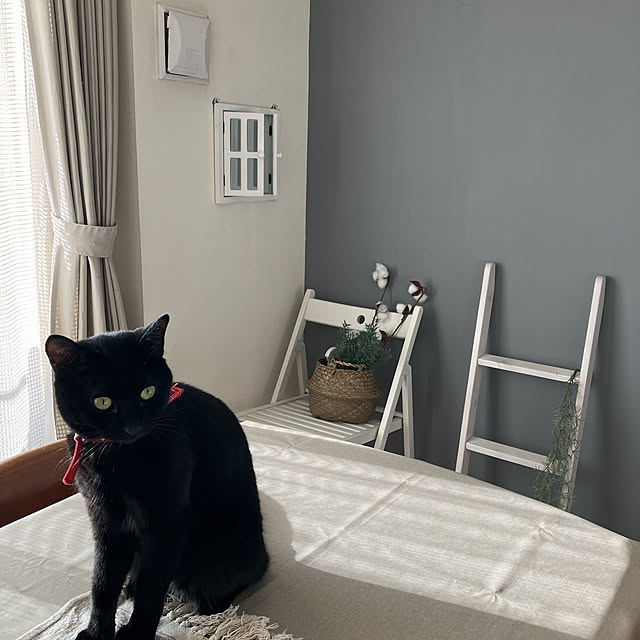 nekomiさんの部屋