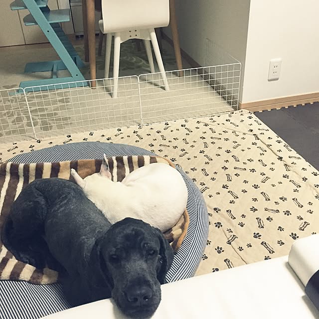 ren-hiroさんの実例写真