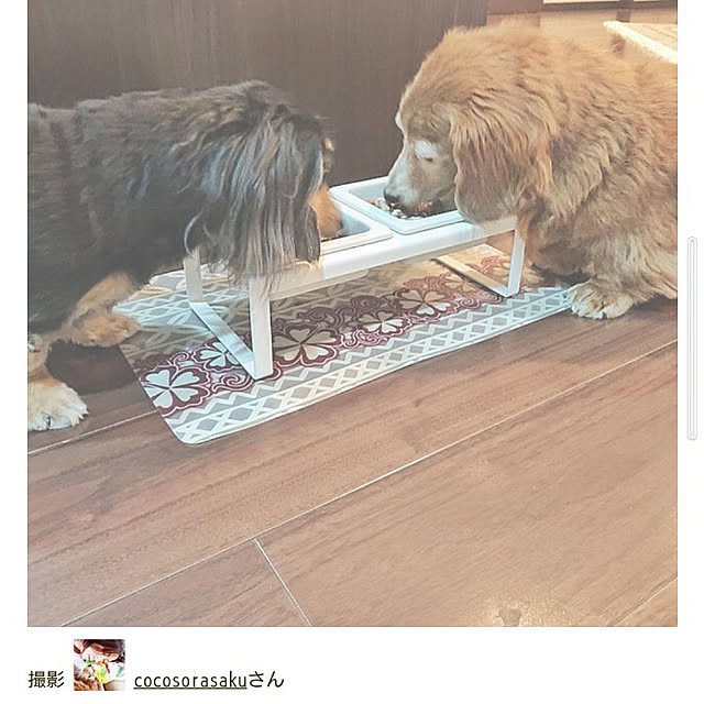 cocosorasakuさんの実例写真