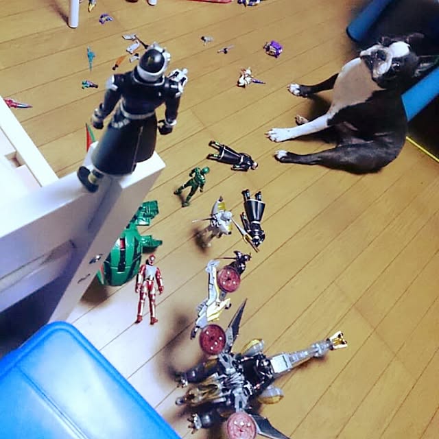 maiさんの実例写真