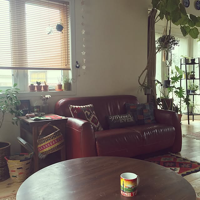 junさんの実例写真
