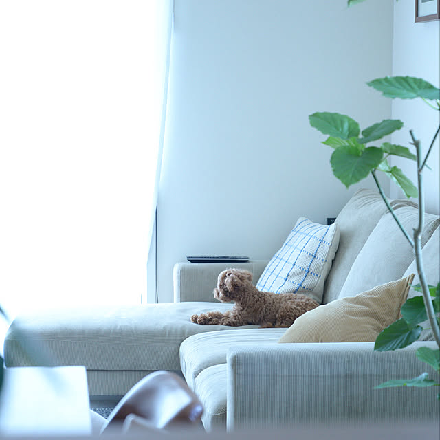 nico_home_igさんの実例写真