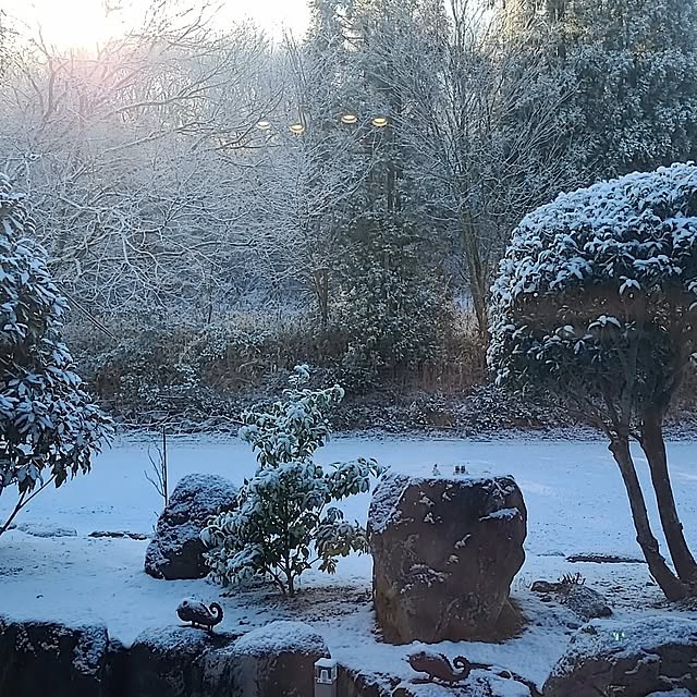 Rubiconさんの部屋